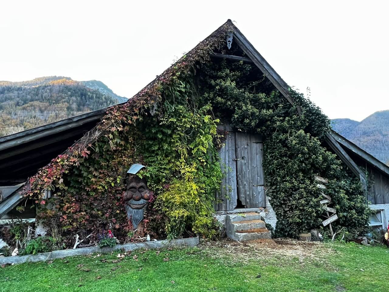 titelbild-schuleambauernhofbetrieb